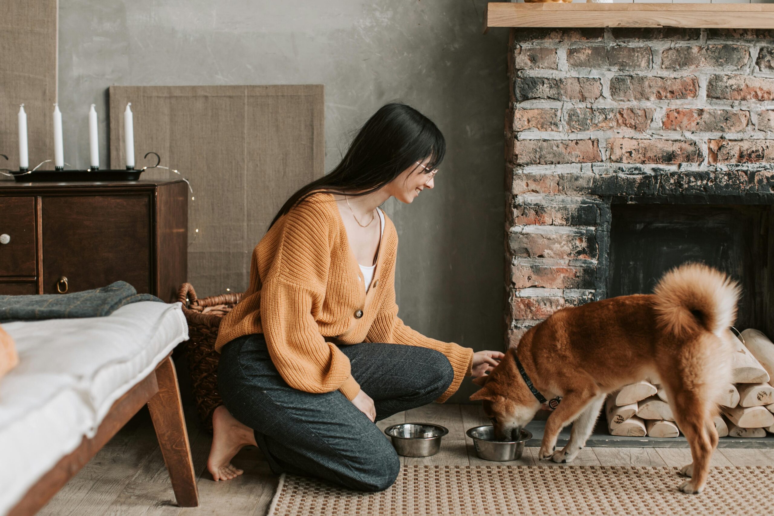 Affordable Raw Dog Food - How Much do I feed?