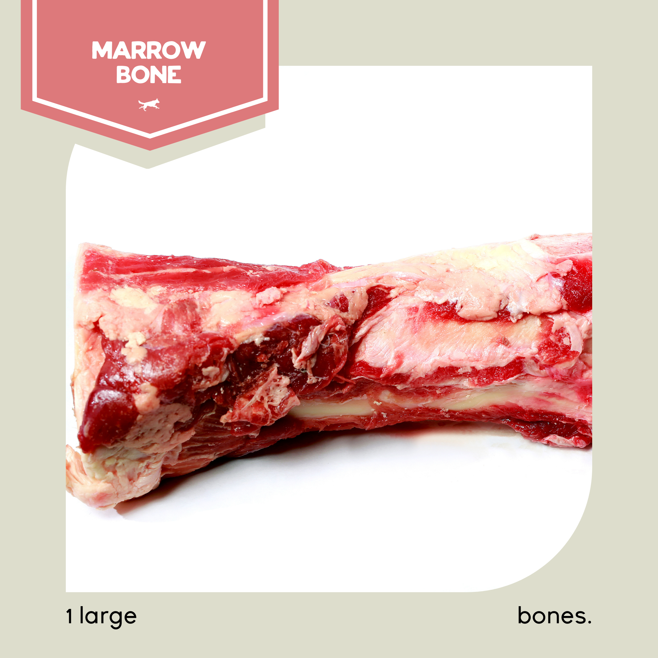 Large Marrow Bone-image